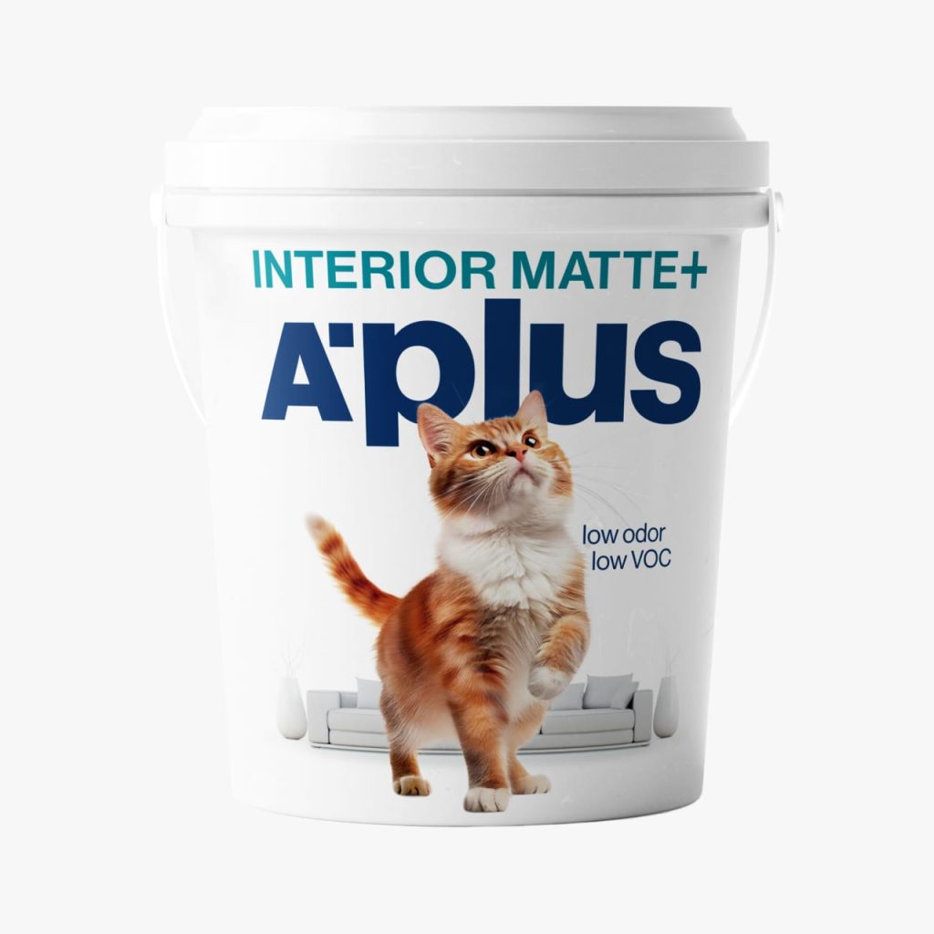 cat aplus interior